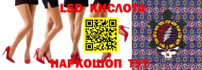 СК Дмитров