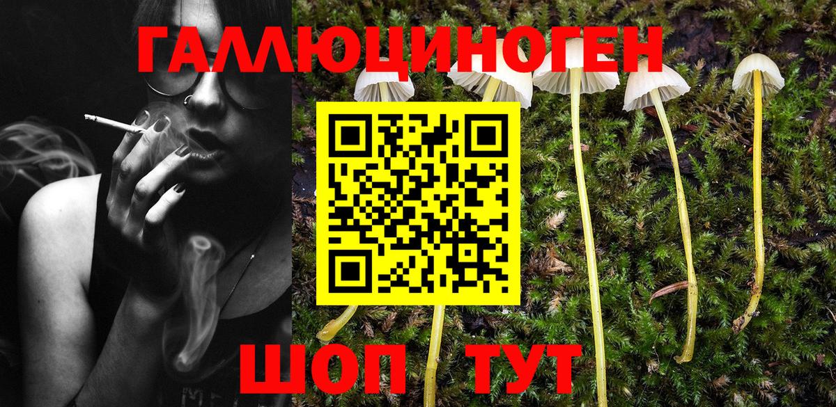 Асбест  Псилоцибиновые грибы ЛСД  где купить наркотик  Вход с VPN 